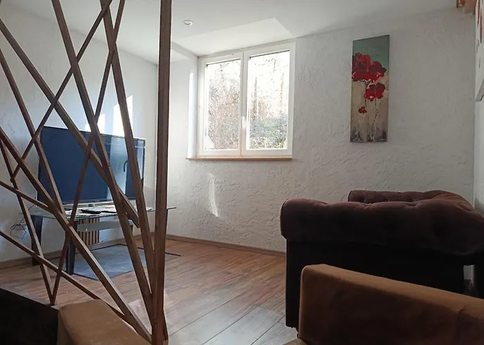 Duplex 2 2 Salle De Bains Appartement Geu